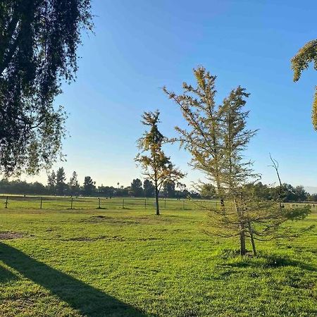 洛杉矶Hidden Gem La 2Bd House With Dreamy Backyard别墅 外观 照片