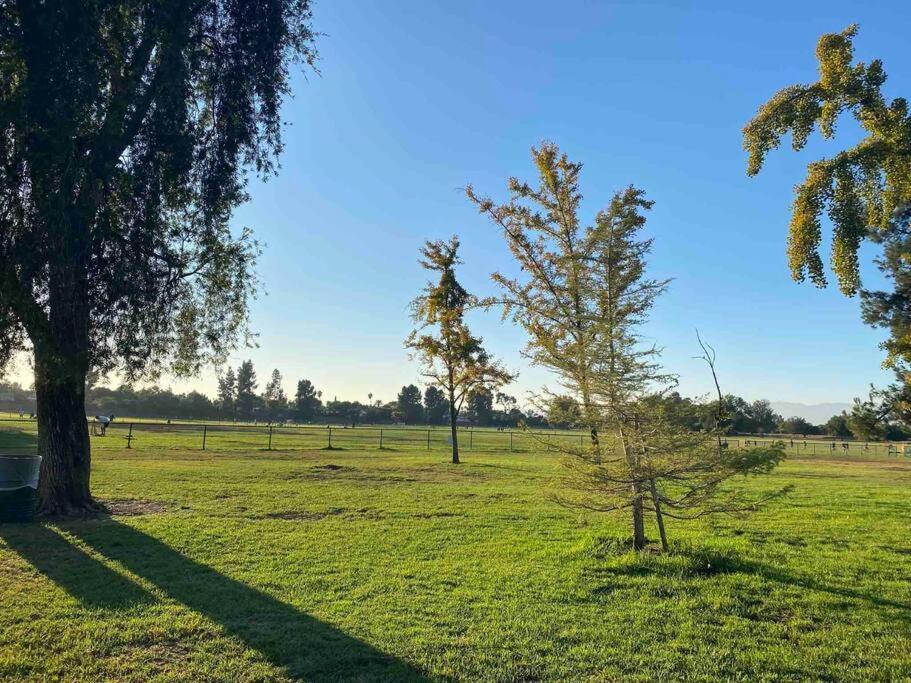 洛杉矶Hidden Gem La 2Bd House With Dreamy Backyard别墅 外观 照片