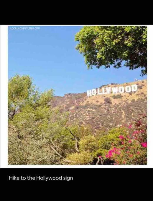 洛杉矶Hidden Gem La 2Bd House With Dreamy Backyard别墅 外观 照片